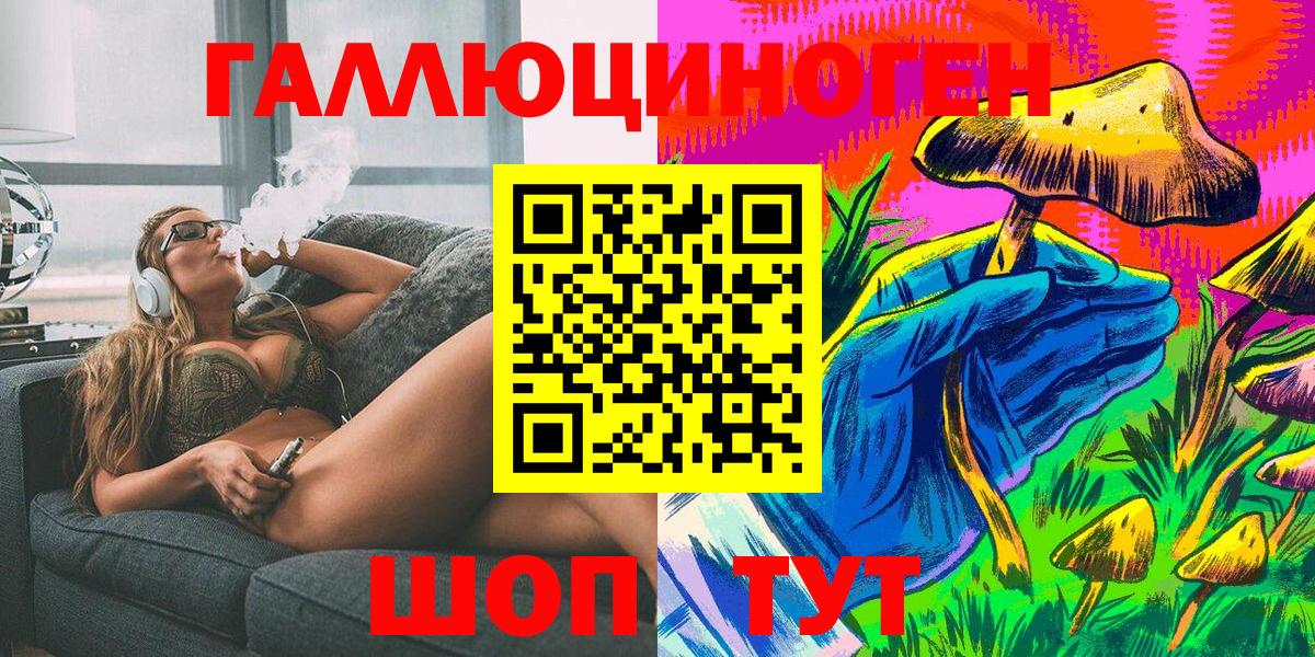 Псилоцибиновые грибы Psilocybe Гусиноозёрск