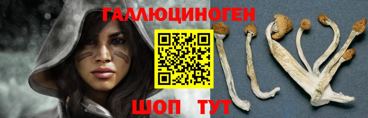 Галлюциногенные грибы Psilocybe  Псилоцибиновые грибы прущие грибы  Гусиноозёрск  Вход с VPN 